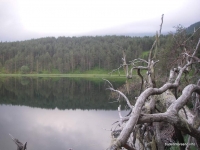Озеро Хорлакель озеро
ветки