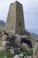 Одна из сохранившихся башен Цымити 
Башенный комплекс
сторожевые башни в Цмити