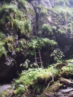 Лестница в пещеру Безымянная пещера в правом берегу Голубого каньона - на выходе из него