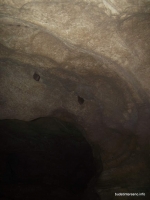 В одной из пещер на ручье Бешенный ручей Бешенный