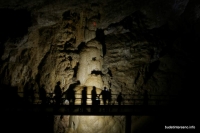 Голова великана в Новоафонской пещере образована из сталактитов
Ново-Афонская пещера