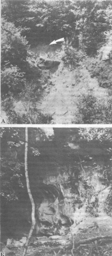 Рис. 6. А — общий вид на Борисовскую стоянку (стрелка указывает место зачистки 1991 г.); Б — общий вид на Аутлевскую пещеру
