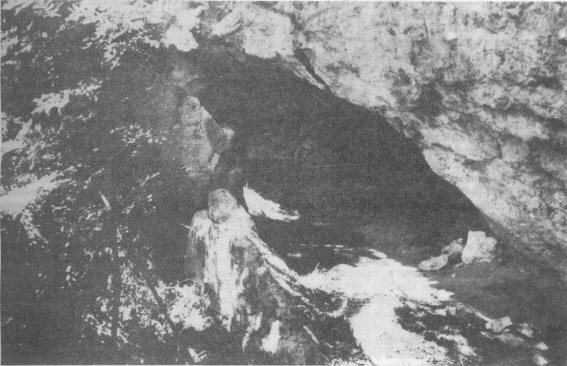 Рис. 5. Общий вид на Баракаевскую пещеру 