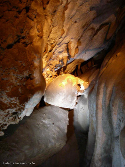 Человеческий череп в кошачьей пещере