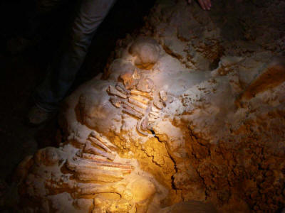 кости в пещере